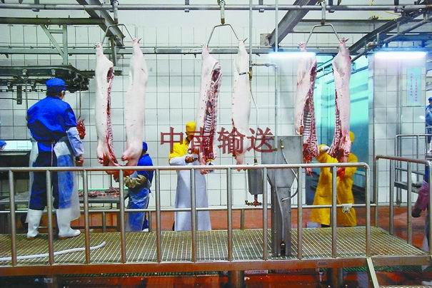 屠宰生產線 屠宰生產線